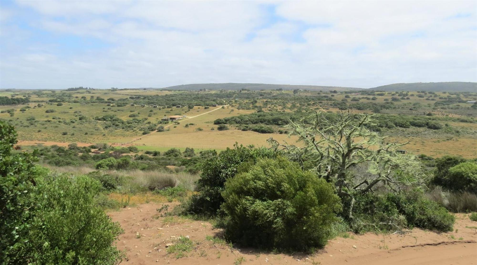 Baardbos Private Game Reserve Apartment Stilbaai Luaran gambar