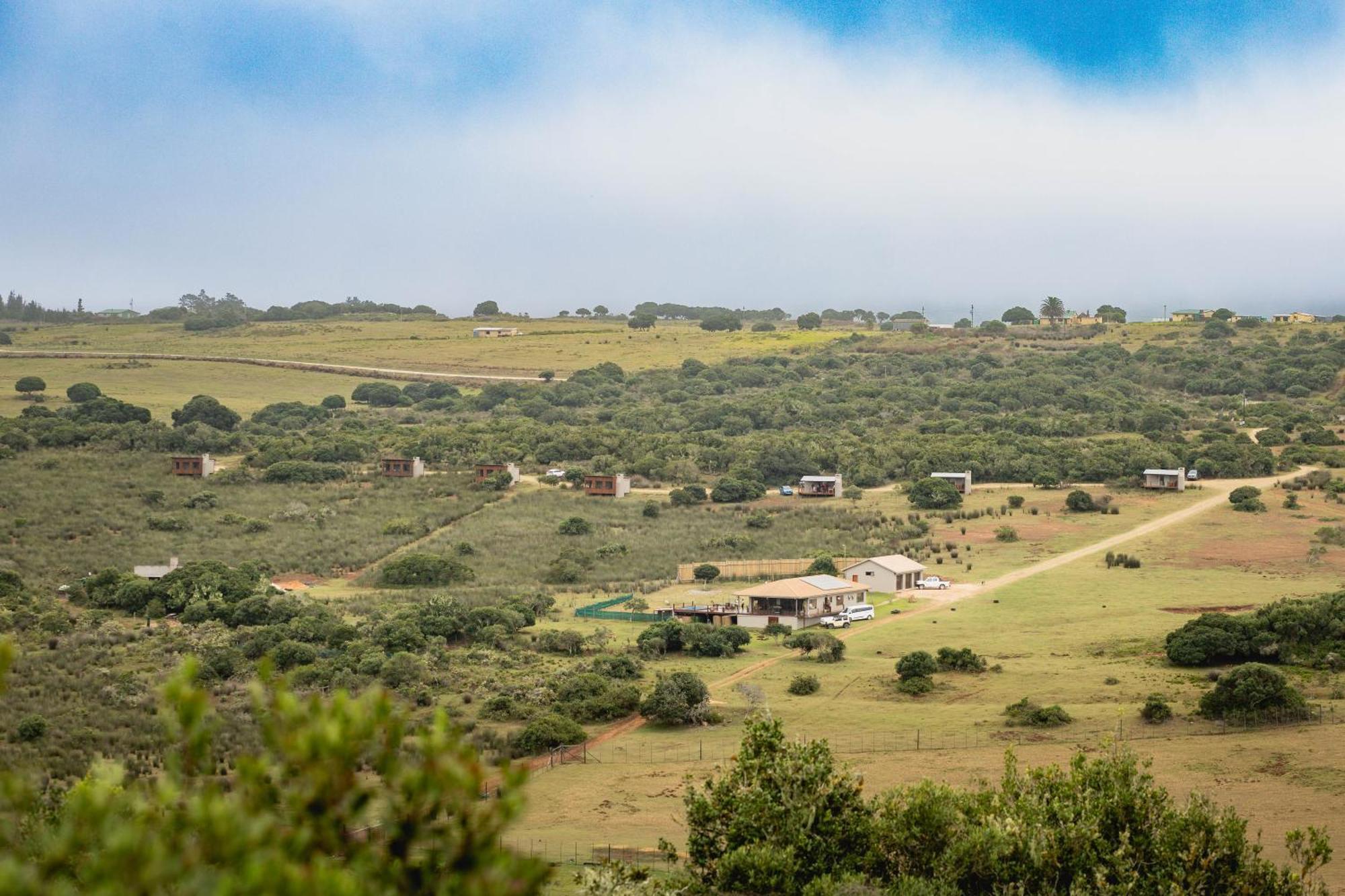 Baardbos Private Game Reserve Apartment Stilbaai Luaran gambar